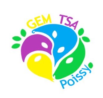 Logo GEM TSA de Poissy (1)